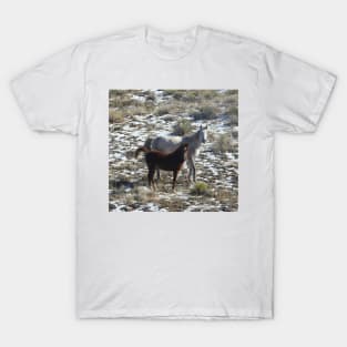 Wild horses, wildlife, gifts, desert, Arizona T-Shirt